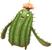 Ricercato: Cactus da Fiore