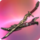 Coven Katana Icon.png