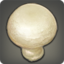 Button Mushroom Icon.png