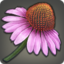 Coneflower Icon.png