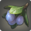 Pixie Plums Icon.png