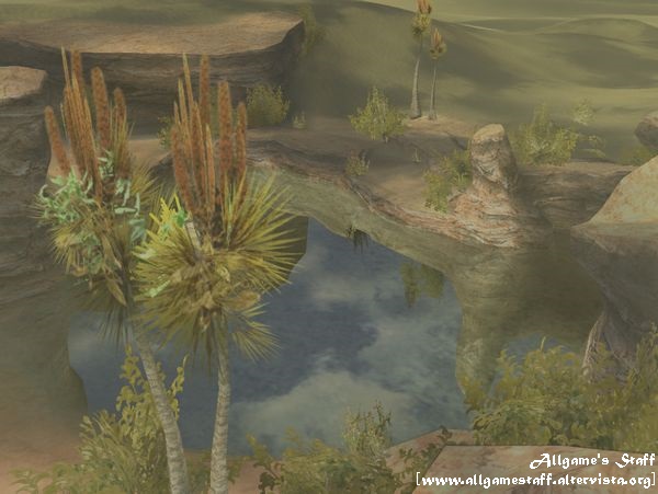 Oasi nel Deserto di Bikanel