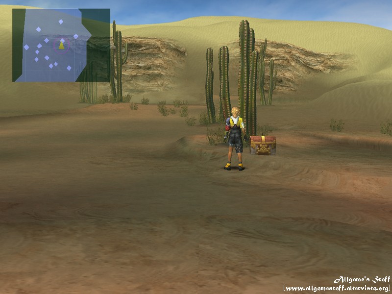 Final Fantasy X - Valle dei Kyactus