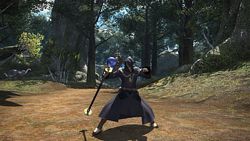 Final Fantasy XIV: A Realm Reborn