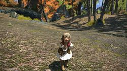 Final Fantasy XIV: A Realm Reborn