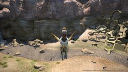 Final Fantasy XIV: A Realm Reborn