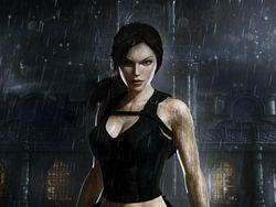 Artwork Tomb Raider 8