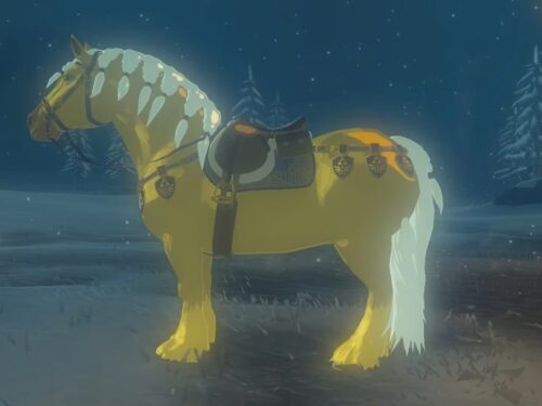 Zelda: Tears of the Kingdom – Come ottenere il Cavallo dorato