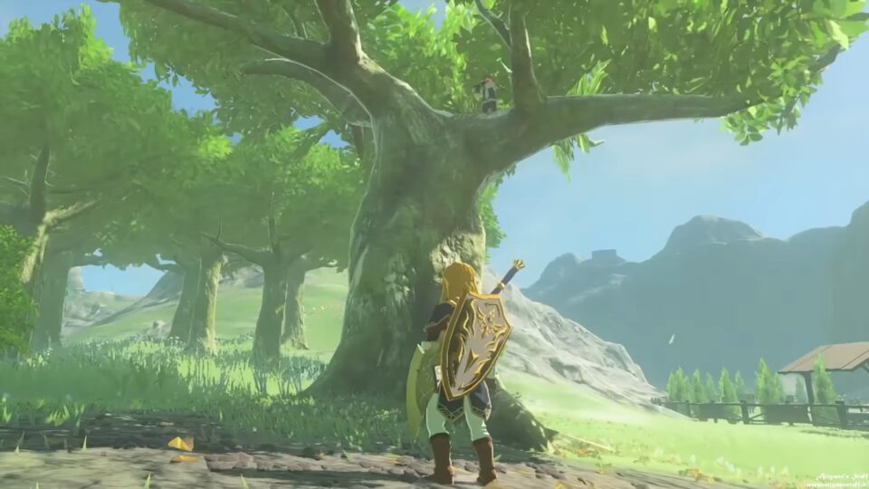 Feyn in Zelda TOTK