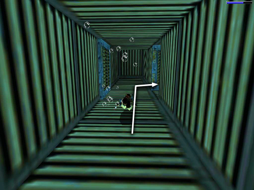 Area di immersione - Soluzione Tomb Raider 2