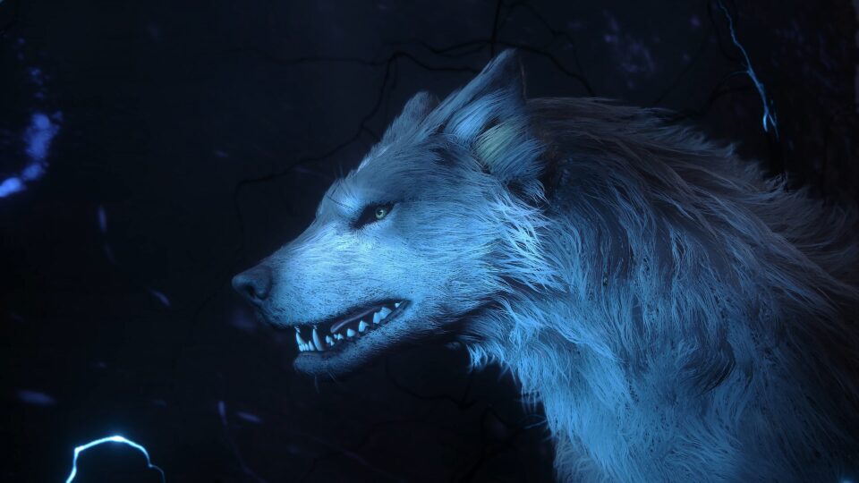 Torgal
