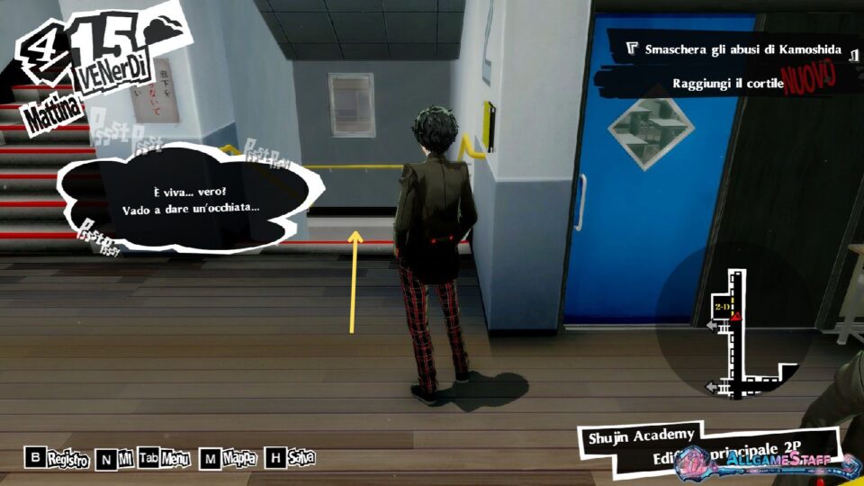 P5R