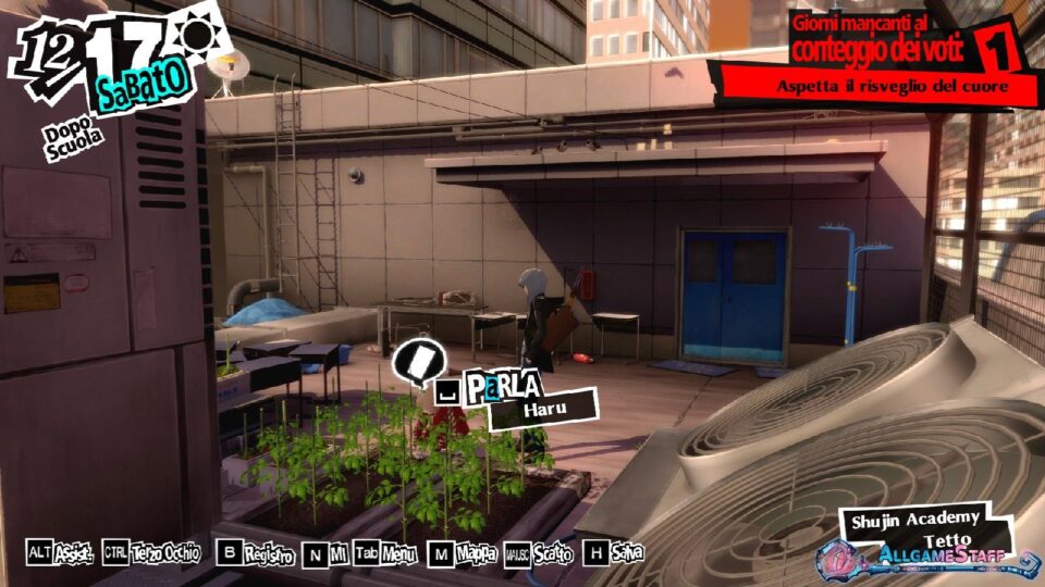 P5R