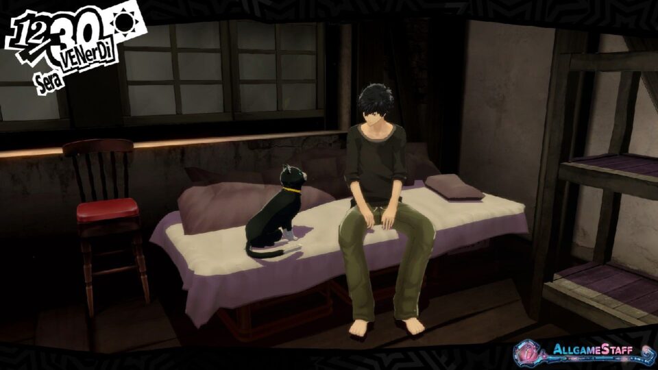 P5R