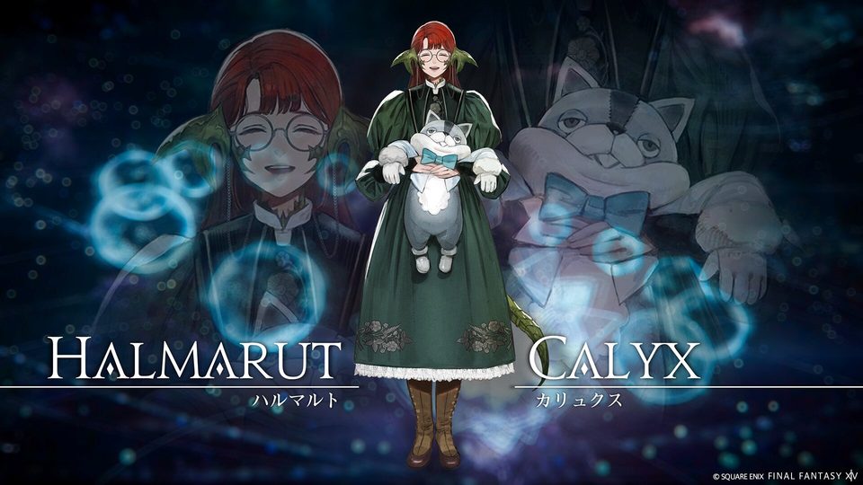 FINAL FANTASY XIV: Evercold